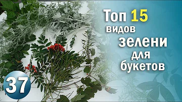 15 Видов ЗЕЛЕНИ с Которыми Ваши Цветочные композиции станут уникальными / Флористика с Olinbuket