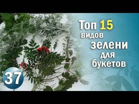 15 Видов ЗЕЛЕНИ с Которыми Ваши Цветочные композиции станут уникальными / Флористика с Olinbuket