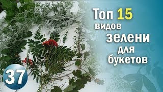 15 Видов ЗЕЛЕНИ с Которыми Ваши Цветочные композиции станут уникальными / Флористика с Olinbuket