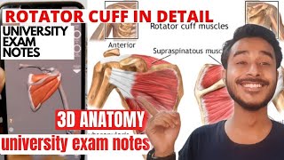 Rotator cuff anatomy | Musculotendinous cuff of shoulder joint Anatomy
