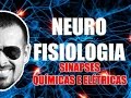 Sinapses Químicas e Elétricas - Sistema Nervoso - Neurofisiologia - VideoAula 083