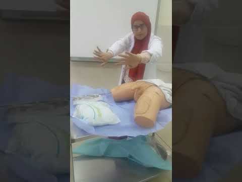 محاضرة تمريض باطنى جراحى 2 عملى بعنوان   2 فرقةثانية ترم أول د ايات على