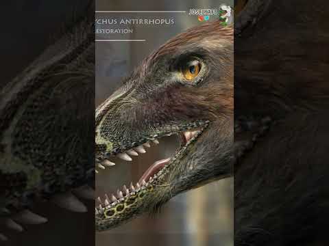 Video: ¿Los velociraptores son verdaderos dinosaurios?