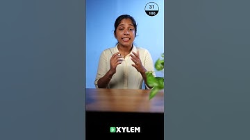 എന്താണ് International Business❓- Let