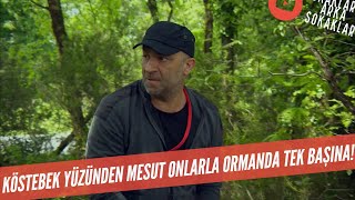 O Kadının Evinde Köstebek Var Mesut Ormanda Onlarla Tek Başına 517. Bölüm