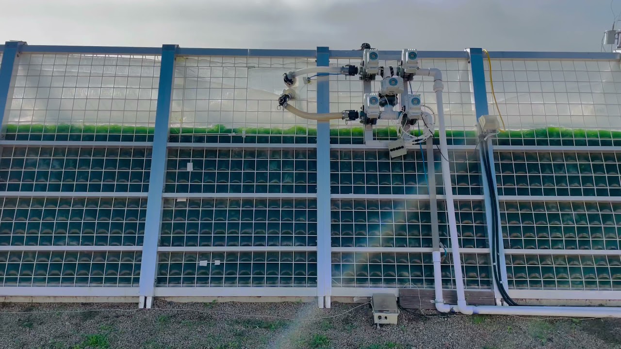 Photobioreactor Upgrade: 2-Liter metal straw with air stone and cleaning  brush