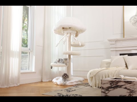 How to Assemble Your Jellyfish Cat Tree | Purr Nook Official Installation Guide