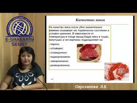Условия, способы и режимы хранения мяса Лекция 13