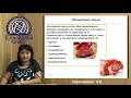 Условия, способы и режимы хранения мяса Лекция 13