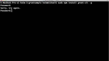Installing The grunt-cli Module