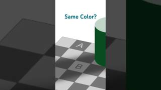 Your Brain Is Lying About These Colors