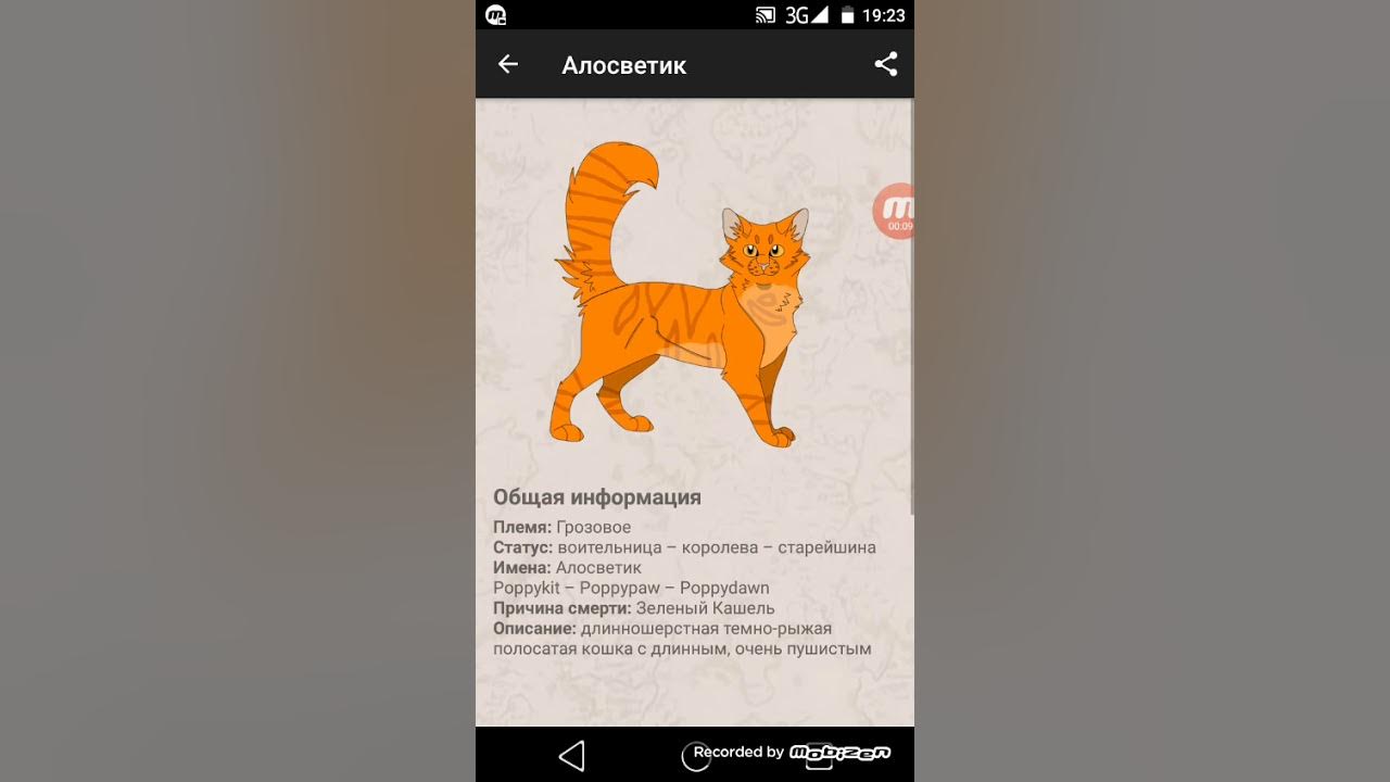 коты воители звездоцап. коты воители троица остролистая воробей и львиносвет. коты воители бич. приложение воители. Warrior cats game.