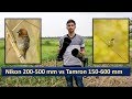 Tamron 150-600 mm G1 vs Nikon 200-500mm | Part-1 (Hindi) | Wildlife photography Lenses |