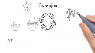 Complicated Vs Complex