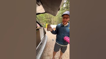 What a lovely way to wrap up the 2025 season of camp hosting!