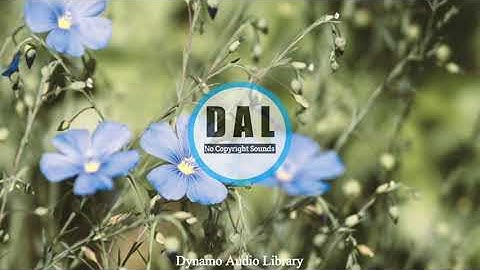 Sandbox l R&B & Soul l Royalty Free Music l Dynamo Audio Library l No Copyright Sounds