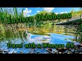 Eastern oklahoma 2day road trip  beavers bend talimena robbers cave natural falls