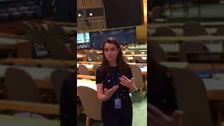 Ireland's UN Youth Delegate Lauren gives us a look behind the scenes at the UN General Assembly
