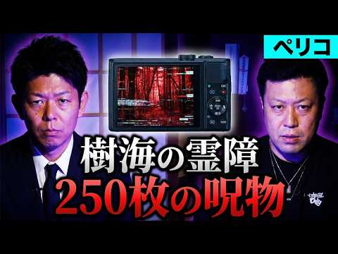 初【ぺリコ】樹海でヤバイ霊体験/吹上トンネルの怖い話/奇面部屋で起きた怪奇映像『島田秀平のお怪談巡り』
