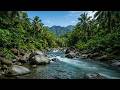 Deep Jungle River Sounds | 4K Rainforest Ambience for Relaxation and Sleep 3