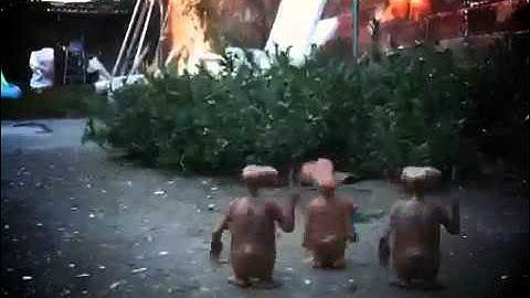 Shruthi-1 FAT Sounding!!!