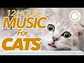 Музыка для кошек - Успокаивающие кошачьи колыбельные - Устранение тревоги разлуки