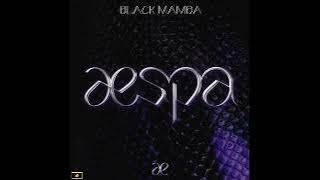 [1 HOUR LOOP] aespa - Black Mamba