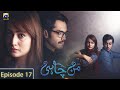 Watch Manchahi Episode 17 | Zarnish | Annie Zaidi | Sadaf Yasin Online In HD