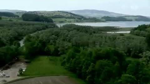 سورة المطففين بصوت القارئ عمرو الضالعي حفظه اللّٰه