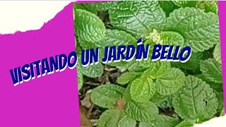 TOUR POR UN JARDIN HERMOSO