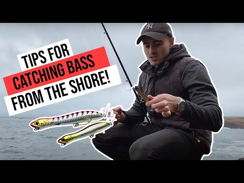 Lure Fishing for Bass - St Brides Pembrokeshire - Tips for beginners