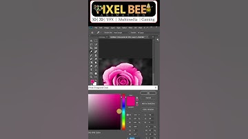 instantly colorize black and white in Photoshop / pixelbeeanimation