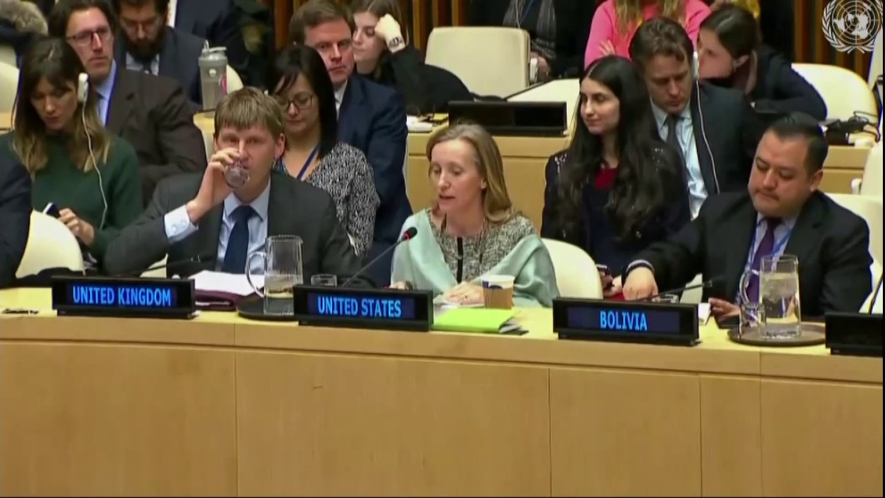 Remarks at a UN Security Council Arria-Formula Meeting on Syria