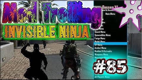 Black ops 2 Mod Trolling #85 "Invisible Ninja"