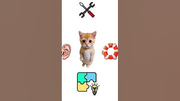 Why does boy kitten never ask for help? Explain with kitties