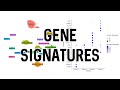 Gene Signatures Plot | scRNA-Seq Analysis in Seurat