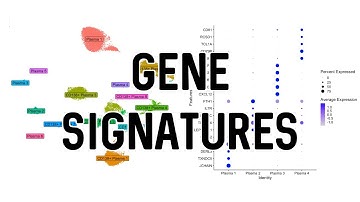 Gene Signatures Plot | scRNA-Seq Analysis in Seurat