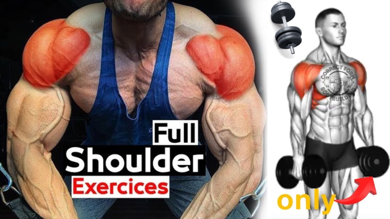 Shoulder Build Exercise How to Build a Shoulder workout with Dumbbells - YouTube