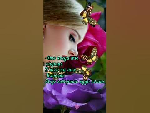 #shorts -Поза наездницы - YouTube