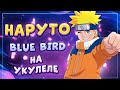 опенинг НАРУТО - BLUE BIRD разбор на укулеле \ Даша Кирпич