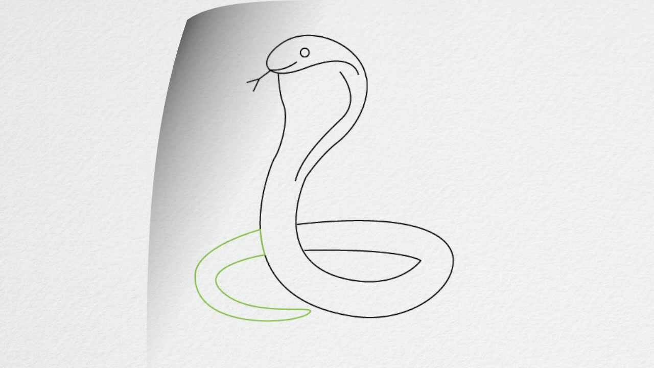 How To Draw A Very Easy Snake