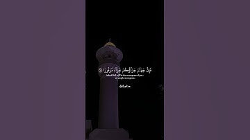 القرآن الكريم 🍃🌷 #اكسبلور #المصحف