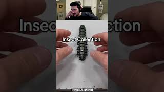 Satisfying Robot Insect Collection! 😯