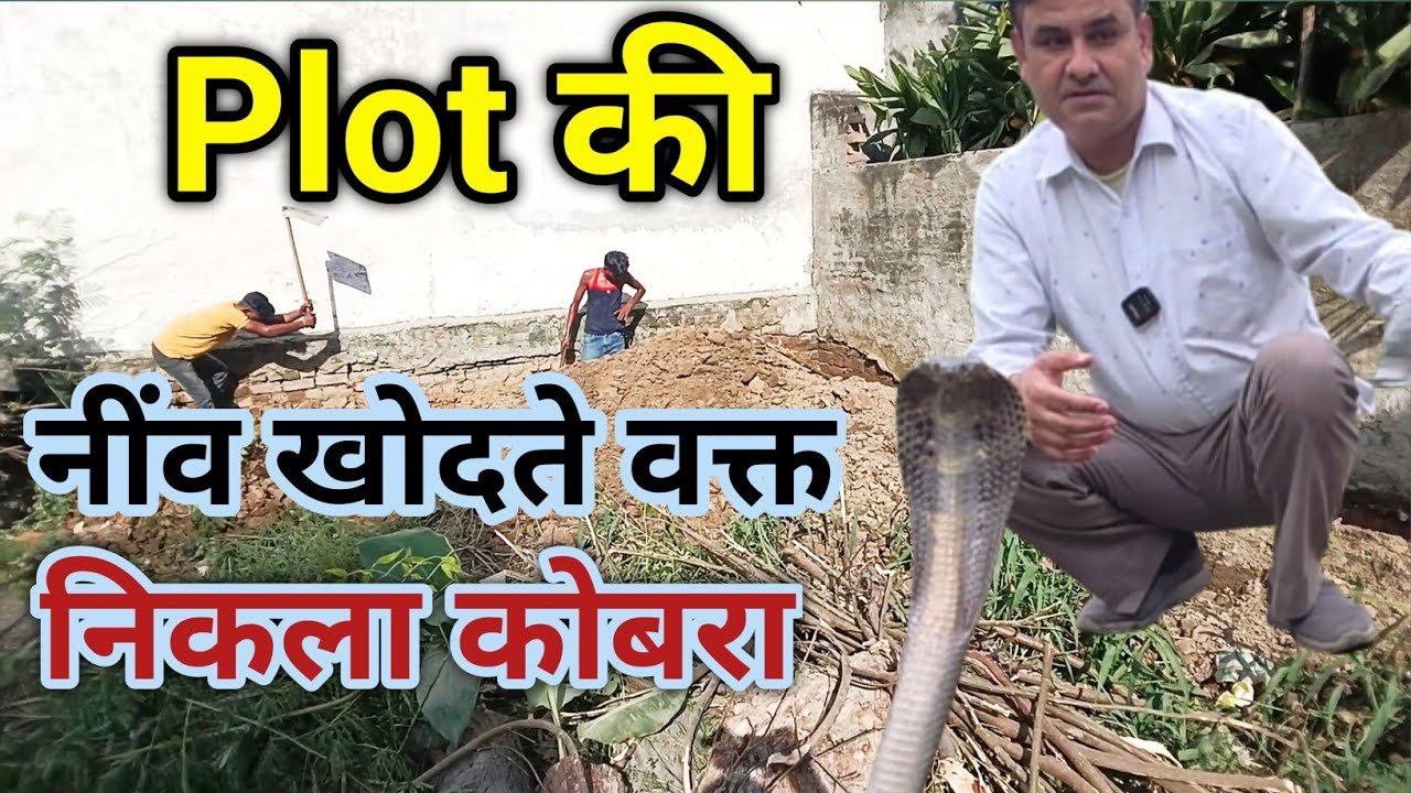हमरे प्लाट में निकला कोबरा नाग | Snake man | Satish Fafdana | Snake Man Of Haryana