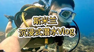 健身教練:2分鐘帶你體驗斯米蘭潛水! 🏳️🌈 #diving #潜水 #西密蘭