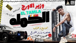 مولد الحمله عازف اورج عصفوره توزيع وزير الاورج مزيكات 2020 رقص عقباوي