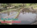 田起こし　山菜料理　生米スイーツ　猪肉中華まん　山暮らし 　forest life　selfsufficient lifestyle　homestead　wild edible plants