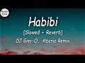 DJ Gimi-O _ Habibi Albanian Remix Slowed + Reverb Lyrics English  translation -Trending