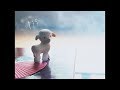 羊文学 "ロマンス" (Official Music Video)