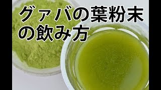 グァバの葉粉末の飲み方